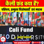 कैली फ़ंड क्या हैं?
