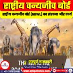 राष्ट्रीय वन्यजीव बोर्ड (NBWL)