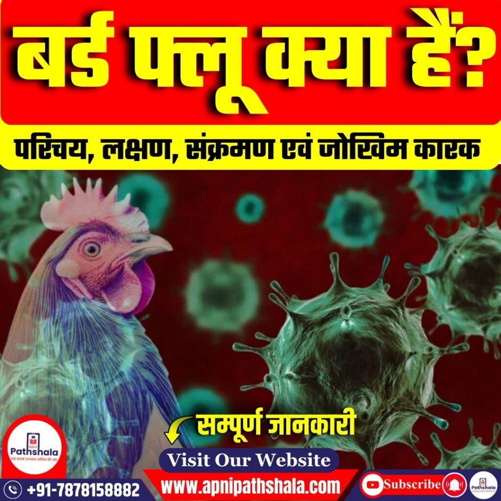 बर्ड फ्लू (Bird Flu) क्या हैं?
