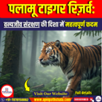 पलामू टाइगर रिज़र्व  (Palamau Tiger Reserve)