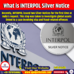 What is INTERPOL Silver Notice