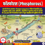 फॉस्फोरस (Phosphorous) | UPSC Preparation