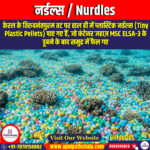 नर्डल्स (Nurdles) | Ankit Avasthi Sir