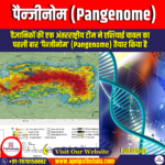 पैन्जीनोम (Pangenome) by Apni Pathshala