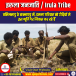 इरुला जनजाति (Irula Tribe) | Ankit Avasthi Sir