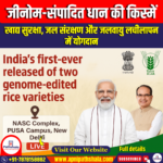 जीनोम-संपादित धान की किस्में (Genome Edited Rice Varieties)