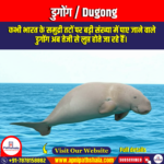 डुगोंग (Dugong) | Apni Pathshala