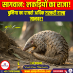 पैंगोलिन (Pangolin)