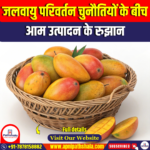 जलवायु परिवर्तन चुनौतियों के बीच आम उत्पादन के रुझान (Mango Production Trends Amid Climate Change Challenges)