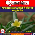 पोर्टुलाका भारत (Portulaca bharat) | Ankit Avasthi Sir