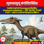 लूखानखुलू मंगोलिएन्सिस (Khankhuuluu mongoliensis) | Apni Pathshala