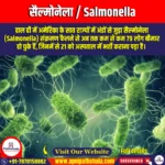 सैल्मोनेला (Salmonella) | Ankit Avasthi Sir