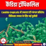 कैंडिडा ट्रॉपिकलिस (Candida tropicalis) | UPSC Preparation