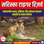 सरिस्का टाइगर रिज़र्व  (Sariska Tiger Reserve) | Ankit Avasthi Sir