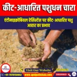 कीट-आधारित पशुधन चारा (Insect-Based Livestock Feed) | UPSC Preparation