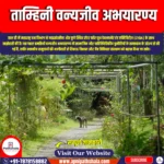 ताम्हिनी वन्यजीव अभयारण्य (Tamhini Wildlife Sanctuary) | Ankit Sir