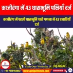 काजीरंगा में पहली घासस्थल पक्षी गणना में 43 प्रजातियाँ दर्ज की गईं (Kaziranga Records 43 Species in First Grassland Bird Census) | UPSC Preparation