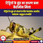 वैज्ञानिकों ने फेरोमोन की खोज की जो टिड्डियों के झुंड का कारण बनता है (Scientists Find Pheromone that Causes Locusts to Swarm) | UPSC