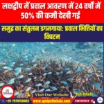 लक्षद्वीप में प्रवाल आवरण में 24 वर्षों में 50% की कमी देखी गई (Coral cover in Lakshadweep saw 50% reduction in 24 years) | Apni Pathshala