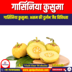 गार्सिनिया कुसुमा (Garcinia kusuma) | UPSC Preparation