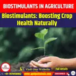 Biostimulants in Agriculture
