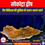 सोकोट्रा द्वीप (Socotra Island) | Apni Pathshala