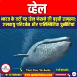 व्हेल (whale) | Apni Pathshala