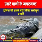 खारे पानी के मगरमच्छ (Saltwater Crocodiles) | Apni Pathshala