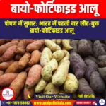 बायो-फोर्टिफाइड आलू (Bio-fortified potatoes) | UPSC Preparation