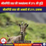 नीलगिरि तहर की जनसंख्या में 21% की वृद्धि (Nilgiri Tahr Population Rise 21%) | UPSC