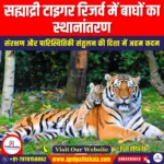सह्याद्री टाइगर रिजर्व में बाघों का स्थानांतरण (Translocation of Tigers to Sahyadri Tiger Reserve) | UPSC