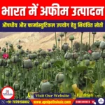 भारत में अफीम उत्पादन (Opium production in India) | UPSC Preparation