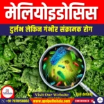 मेलियोइडोसिस (Melioidosis) | Ankit Avasthi Sir