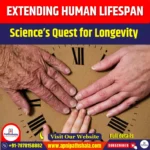 Extending Human Lifespan