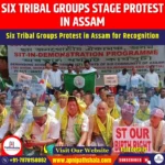 Six Tribal Groups Stage Protest in Assam