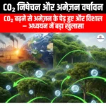 CO₂ निषेचन और अमेज़न वर्षावन (CO₂ Fertilisation and the Amazon Rainforest) | Apni Pathshala