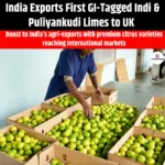 India Exports First GI-Tagged Indi & Puliyankudi Limes to UK