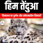 हिम तेंदुआ (Snow Leopard) | UPSC Preparation