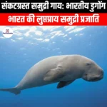 संकटग्रस्त समुद्री गाय (Endangered Sea Cow) | UPSC
