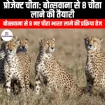 प्रोजेक्ट चीता के अंतर्गत बोत्सवाना से 8 चीता आने की तैयारी (8 cheetahs are set to arrive from Botswana) | Apni Pathshala