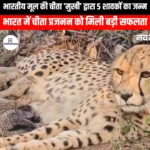भारतीय मूल की चीता मुखी द्वारा 5 शावकों का जन्म (Indian-origin cheetah Mukhi gives birth to 5 cubs) | UPSC Preparation
