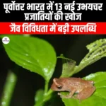 पूर्वोत्तर भारत में 13 नई उभयचर प्रजातियों की खोज (13 new amphibian species discovered in Northeast India) | UPSC Preparation