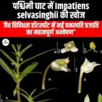 पश्चिमी घाट में इम्पेशन्स सेल्वासिंघीई की खोज (Discovery of Impatiens selvasinghii in the Western Ghats) | Apni Pathshala