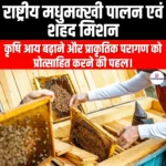 राष्ट्रीय मधुमक्खी पालन एवं शहद मिशन (National Beekeeping & Honey Mission) | Ankit Avasthi Sir