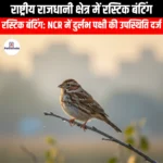 राष्ट्रीय राजधानी क्षेत्र में रस्टिक बंटिंग (Rustic Bunting in the National Capital Region) | Ankit Avasthi Sir