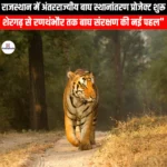 राजस्थान में अंतरराज्यीय बाघ स्थानांतरण प्रोजेक्ट शुरू (Inter-state tiger translocation project begins in Rajasthan) | UPSC Preparation