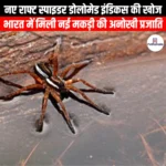 नए राफ्ट स्पाइडर डोलोमेड इंडिकस की खोज (New raft spider Dolomedes indicus discovered) | UPSC
