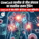 जीन संपादन की वास्तविक समय ट्रैकिंग में GlowCas9 तकनीक (GlowCas9 technology in real-time tracking of gene editing) | Ankit Avasthi Sir