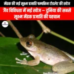 मेंढक की नई सूक्ष्म प्रजाति पम्पकिन टोडलेट की खोज (New microscopic frog species pumpkin toadlet) | UPSC Preparation