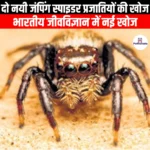 दो नयी जंपिंग स्पाइडर प्रजातियों की खोज (Two new jumping spider species discovered) | Ankit Avasthi Sir